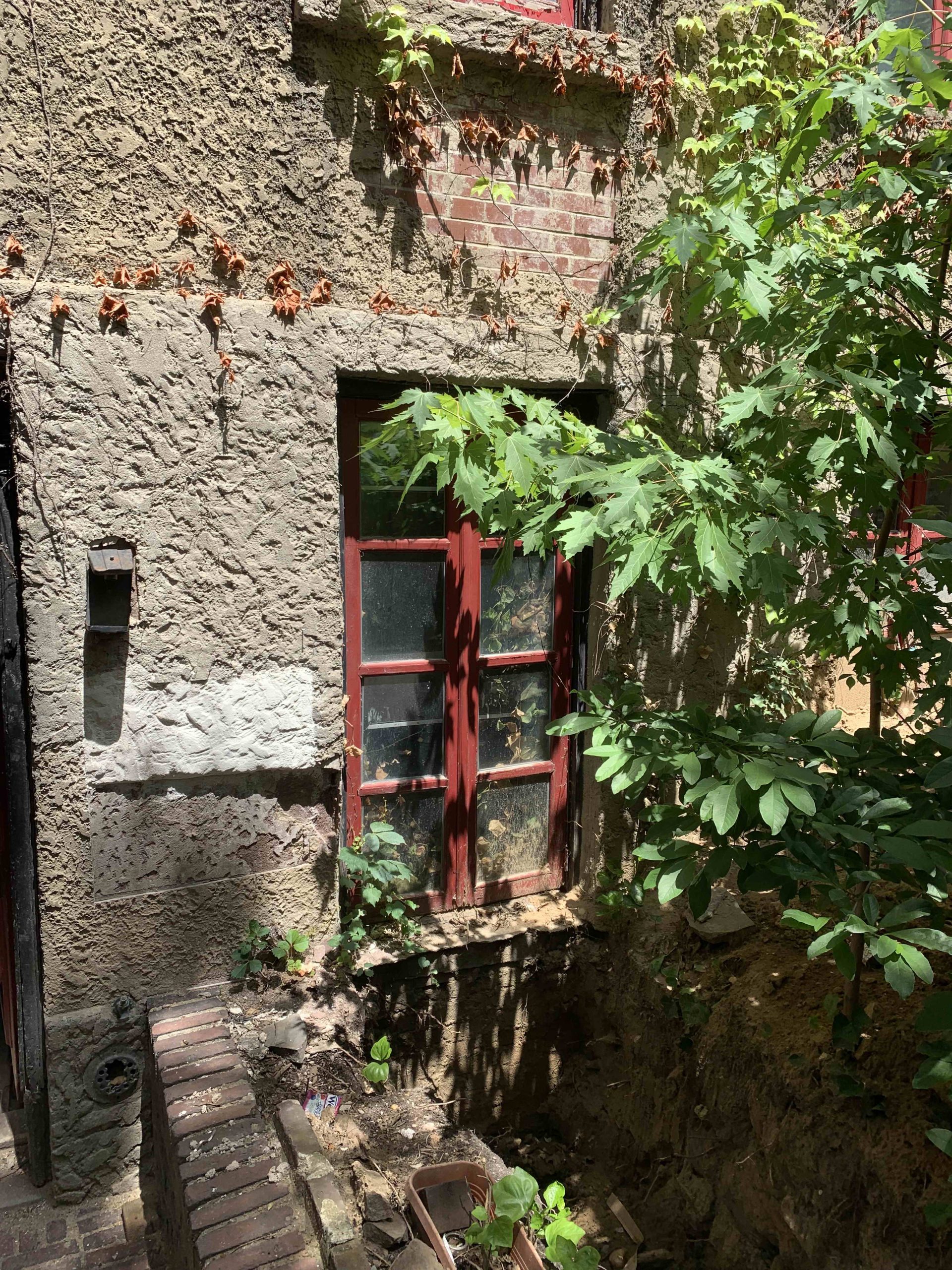 Close-up of a run-down basement window with red frames before renovation, surrounded by distressed stucco walls and overgrown green bushes.