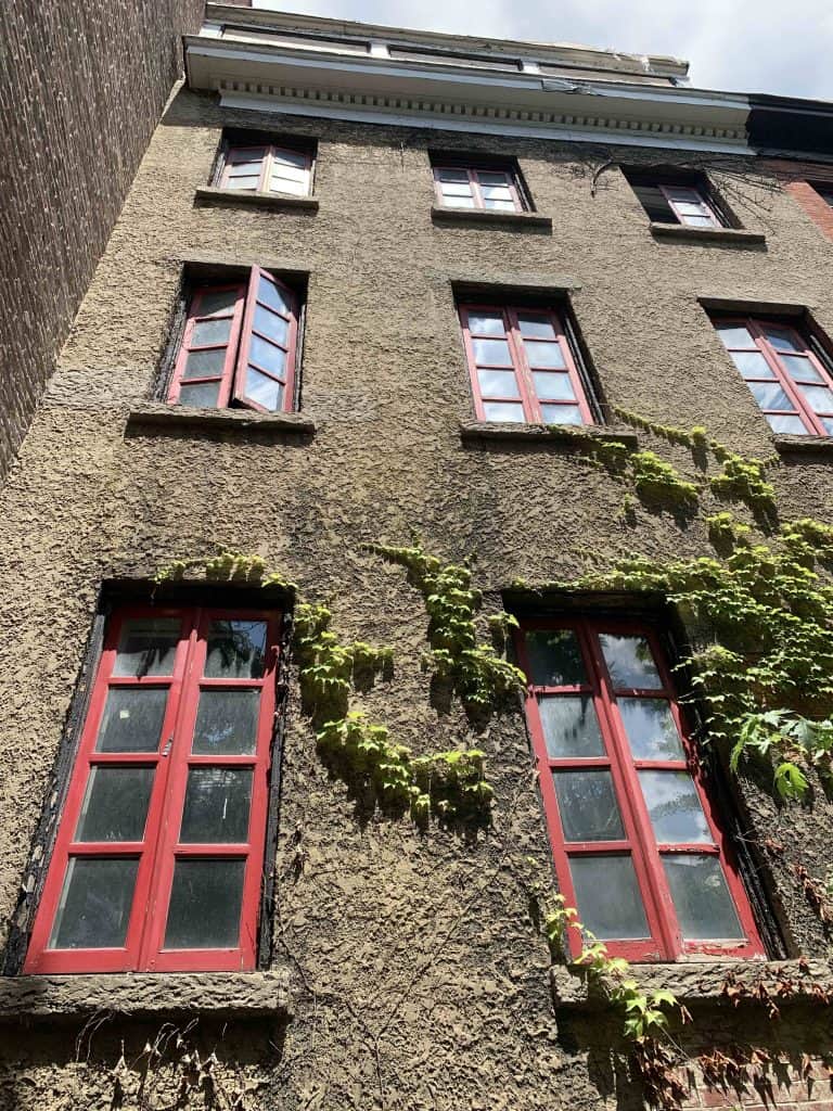 Low-angle view of an old building facade before renovation, featuring worn textured stucco walls, weathered red wooden window frames, and overgrown ivy.